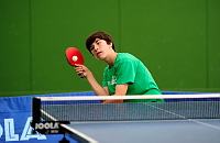 Plymouth in Table Tennis action  - Photo mandatory by-line: Gary Day/Pinnacle - Tel: +44(0)1363 881025 - Mobile:0797 1270 681 - VAT Reg: 183700120 - 14/06/2014 