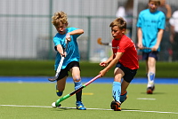 Exeter & East Devon and Torbay in Hockey action - Photo mandatory by-line: Gary Day/Pinnacle - Tel: +44(0)1363 881025 - Mobile:0797 1270 681 - VAT Reg: 183700120 - 14/06/2014 